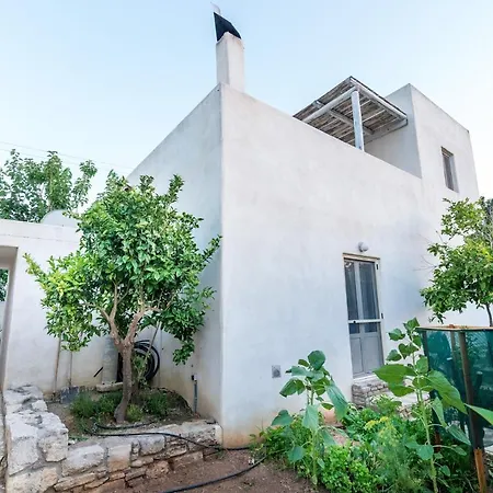 Theona With Private Pool Pitsidia